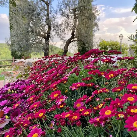 Farm stay Belagaggio *