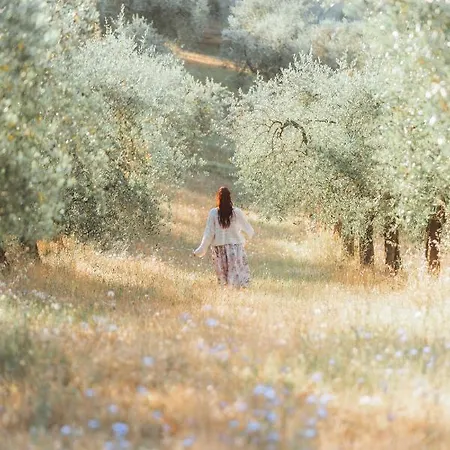 Farm stay Belagaggio *