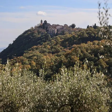 Belagaggio