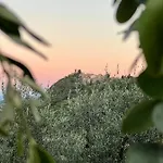 Belagaggio ファームステイ