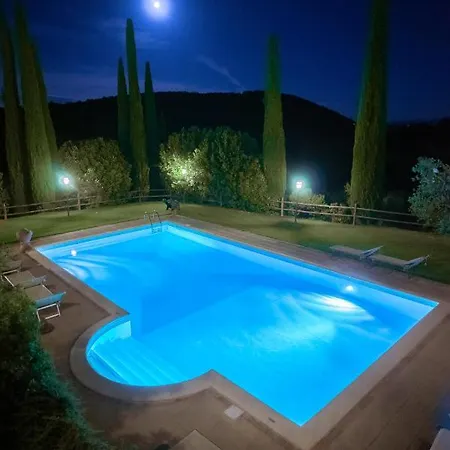 Belagaggio