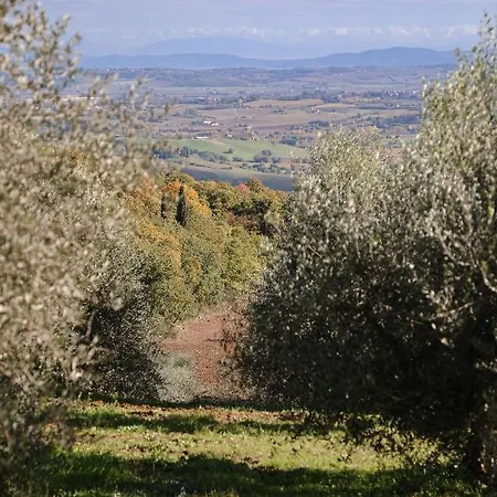 בית חווה Belagaggio Montefollonico